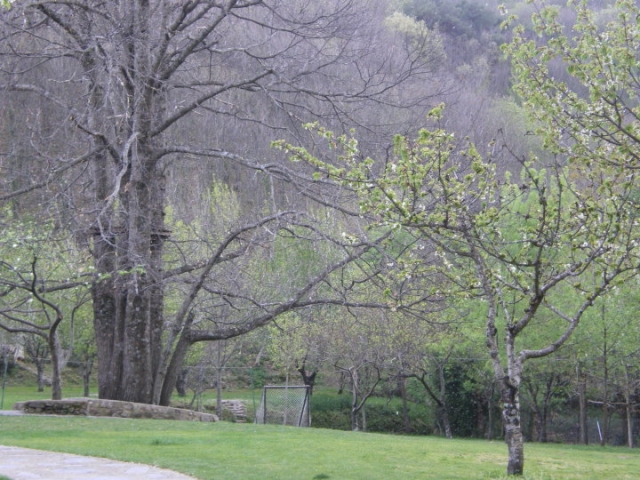 Cerca de nuestras instalaciones